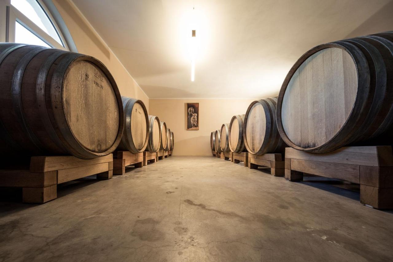 アッピアーノ・スッラ・ストラーダ・デル・ヴィーノ Weingut Donaヴィラ エクステリア 写真