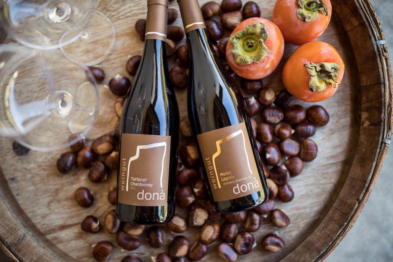 アッピアーノ・スッラ・ストラーダ・デル・ヴィーノ Weingut Donaヴィラ エクステリア 写真