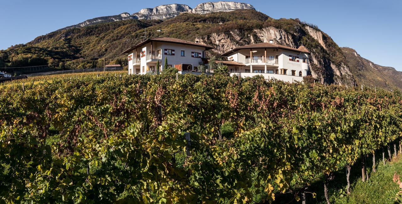 アッピアーノ・スッラ・ストラーダ・デル・ヴィーノ Weingut Donaヴィラ エクステリア 写真